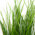 Трава искусственная -4, шт  (осока 50 см/8 см  7 листов)				 - купить в Железногорске. Цена: 130.73 руб.