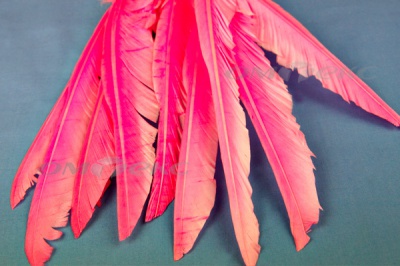 Декоративный Пучок из перьев, перо 25см/розовый - купить в Железногорске. Цена: 14.40 руб.