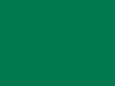 85 см № 258 яр. зеленый спираль (G) сорт-2 - купить в Железногорске. Цена: 16.97 руб.