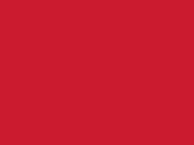Сетка подкладочная красный, 60г/м2 (10 м/кг) - купить в Железногорске. Цена 885.73 руб.