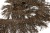 008-коричневый, Бахрома арт.001 шир.10см (упак.12+/-0,5м) - купить в Железногорске. Цена: 1 017.33 руб.