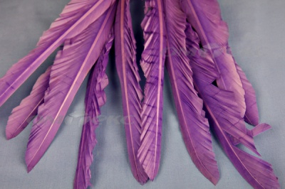 Декоративный Пучок из перьев, перо 25см/фиолетовый - купить в Железногорске. Цена: 12.19 руб.