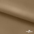 Ткань подкладочная Таффета 17-1327, антист., 54 гр/м2, шир.150см, цвет св.коричневый - купить в Железногорске. Цена 65.53 руб.
