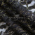 Кружевное полотно XD LACE 1-4, 80 гр/м2, шир.150см, цвет чёрный - купить в Железногорске. Цена 245.94 руб.